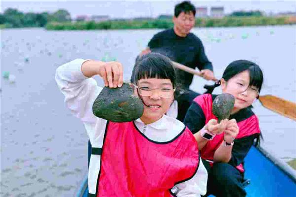 苏州三六六社会实践户外拓展探索自然生命蚌壳中的奥秘