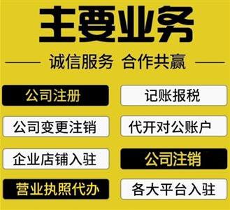重庆沙坪坝区公司注册营业执照办理 公司注销代理