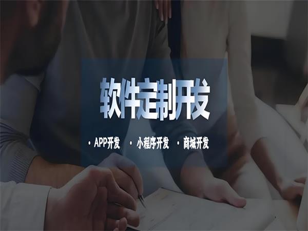 南昌信息技術(shù)開(kāi)發(fā)公司,商城小程序APP軟件制作