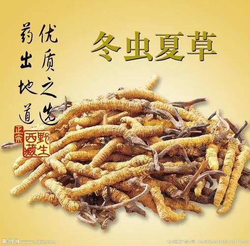 长春之白山市收购礼品冬虫夏草 海参 燕窝 鹿茸价格