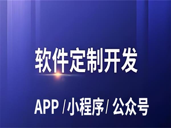 技術型軟件開發(fā)商,南昌小程序APP公眾號制作