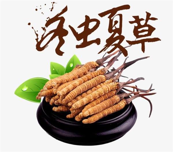 齊齊哈爾之龍沙區(qū)收購(gòu)禮品冬蟲(chóng)夏草 海參 燕窩 鹿茸價(jià)格