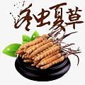 齊齊哈爾之龍沙區(qū)收購(gòu)禮品冬蟲(chóng)夏草阿膠 海參 燕窩 鹿茸安宮價(jià)格