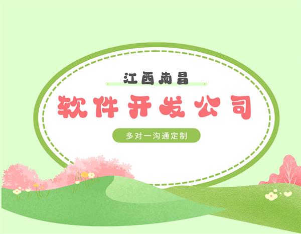 南昌從事定制軟件小程序app網(wǎng)站開發(fā)服務(wù)的公司