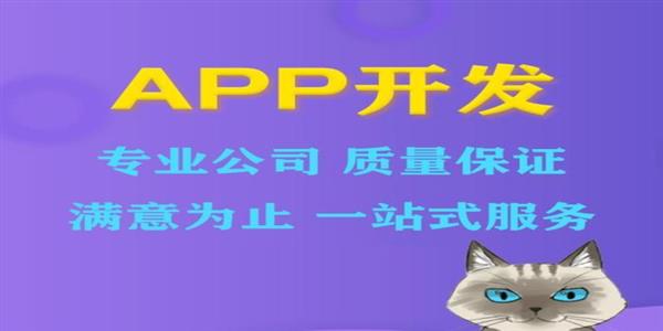 江西南昌做APP软件制作开发的企业公司找哪家