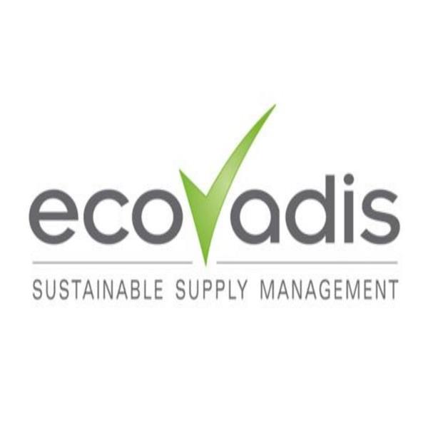 EcoVadis评估从开始到拿到结果需要多长时间?
