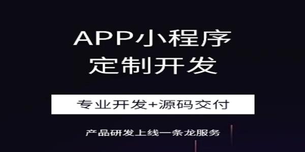 江西南昌做小程序APP设计开发的做软件公司