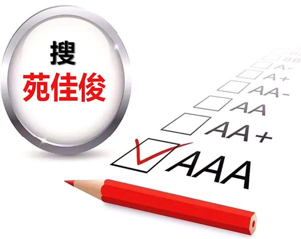 AAA等级企业信用评级流程条件
