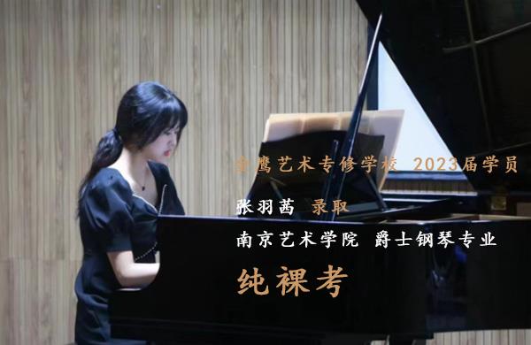 南京艺术学院流行演奏专业如何,怎么才能考上?