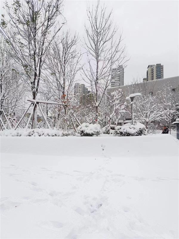 鄭州市地質(zhì)災(zāi)害治理乙級資質(zhì)是單位自己辦理還是找代理機構(gòu)