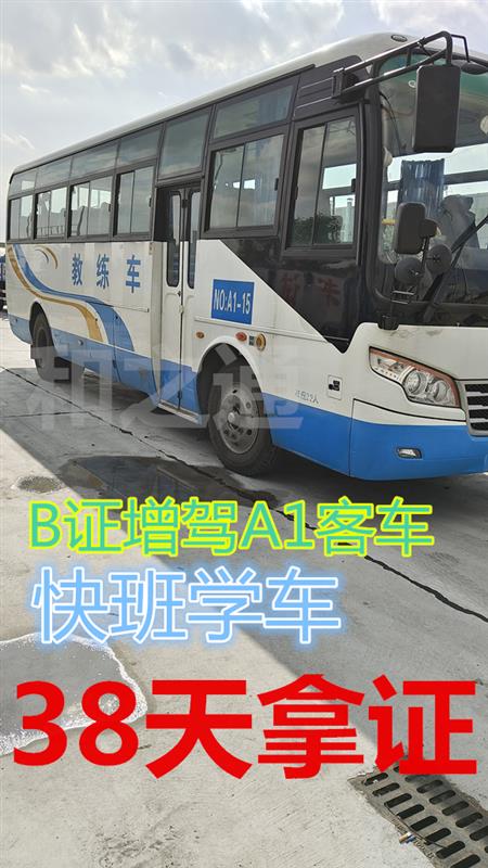 鯉城直考A3公交車(chē)泉州C1增駕A3證8800包吃住