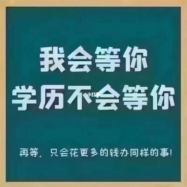 苏州城市学院五年一贯制专转本招生专业和考试安排