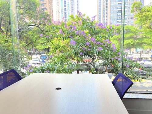 直租天河公园办公室阳光明媚长短租均可可注册