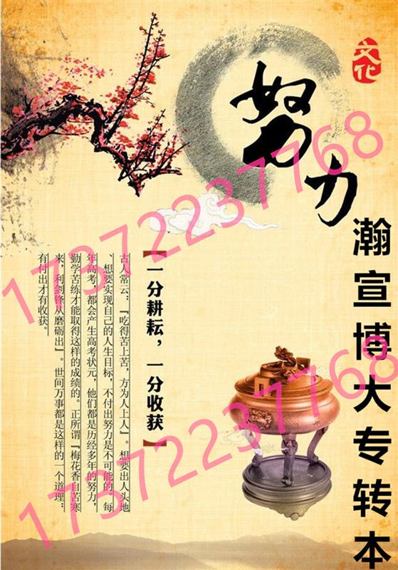 直面五年制专转本会计学专业竞争压力:助力备考