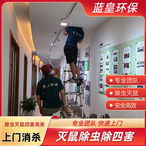 办公楼除老鼠 上海专业灭鼠除虫 办公室老鼠怎么除上门除蟑螂