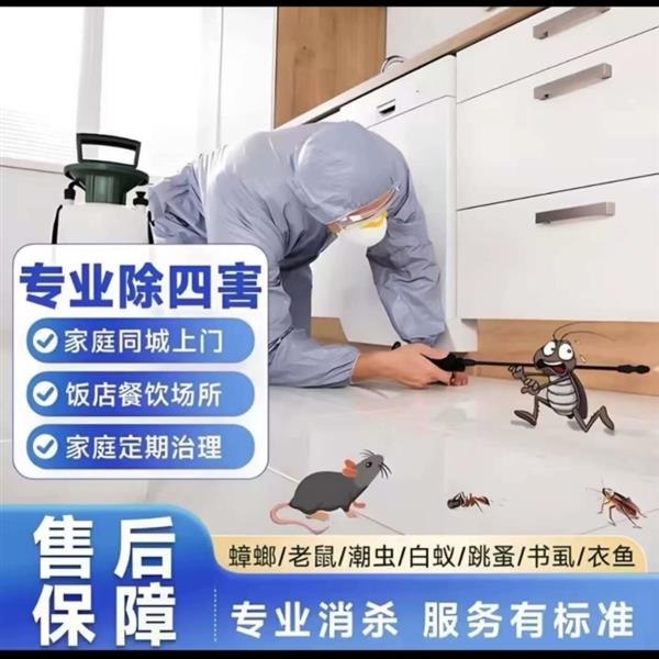 上海除虫专业除虫灭鼠团队灭蟑螂上门除虫电话