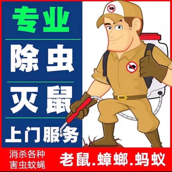 上门抓老鼠服务上海灭鼠公司专业逮老鼠除老鼠捕鼠