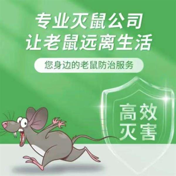 上海灭鼠除虫上海专业除老鼠上门杀虫灭蟑螂除臭虫灭跳蚤
