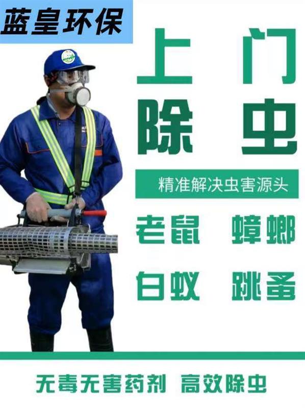 上海松江区消杀公司除虫灭鼠灭蟑螂灭臭虫除跳蚤灭白蚁