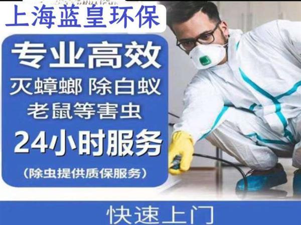 专业除虫公司哪家好 上海蓝皇环保专业除虫灭蟑螂除臭虫灭跳蚤