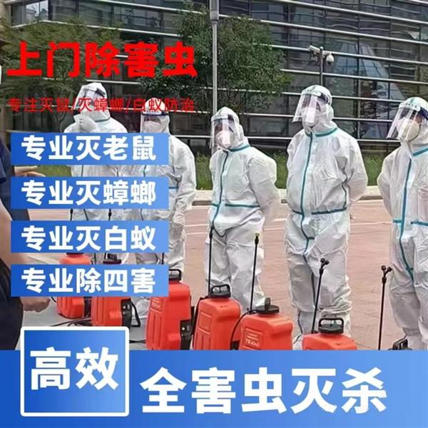 上海专业杀虫 公司电话上海除虫专家上门服务除臭虫灭老鼠杀菌除螨