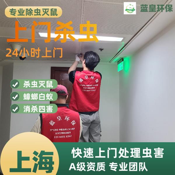上海消灭老鼠公司 闵行区除四害公司 徐汇区灭鼠公司