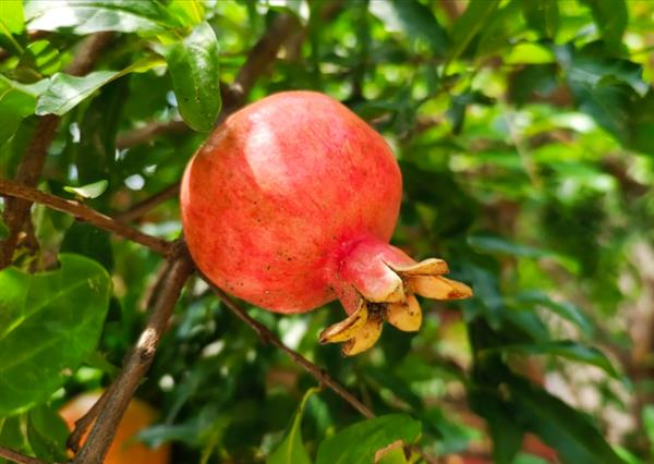 深夜emo、失眠焦虑、姨妈乱套…对不起,我的卵巢!