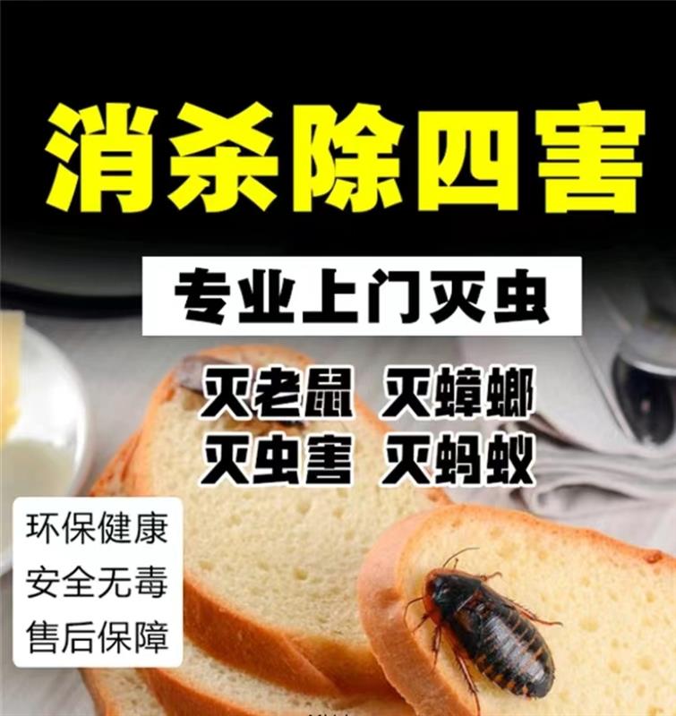 老鼠消杀 除虫杀虫公司 全天24小时上门服务 专业除老鼠