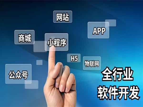 江西开发团队,南昌做网站商城小程序APP软件