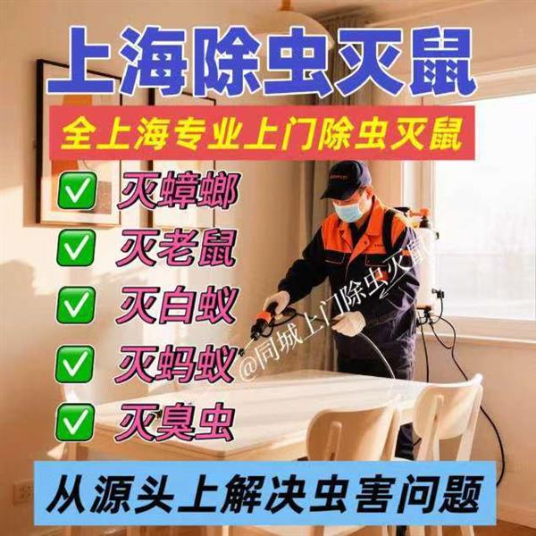 上门除虫公司专业杀虫上门服务 上海灭鼠公司除虫除蚁四害消杀