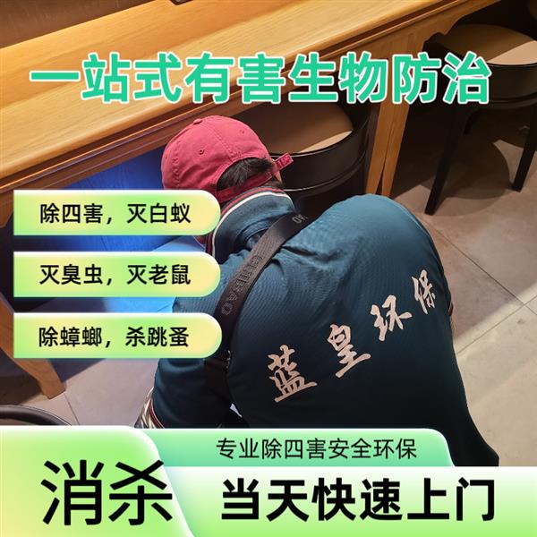 专业除虫公司哪家好 上海蓝皇环保政府指定虫害防治单位 白蚁防治