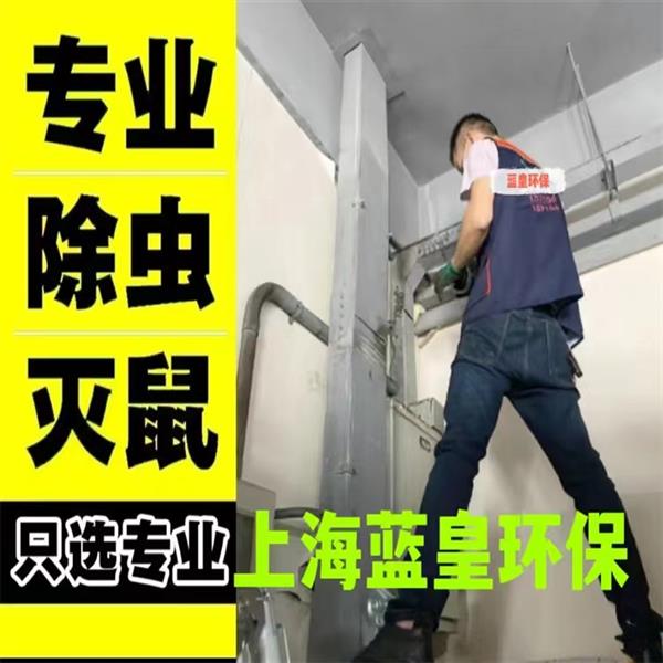 上门除虫灭鼠除蟑螂灭白蚁灭蚂蚁灭蜈蚣杀臭虫上海除虫公司