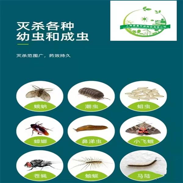 上海家庭专业除虫24小时上门抓老鼠灭蟑螂上门虫害消杀