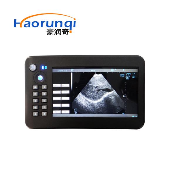母猪真假怀孕辨别仪猪用B超HRQ-2000V