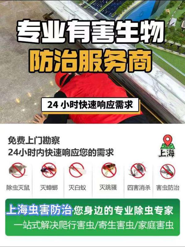 上海上门灭鼠公司专业上海除虫公司灭蟑螂除跳蚤消杀臭虫