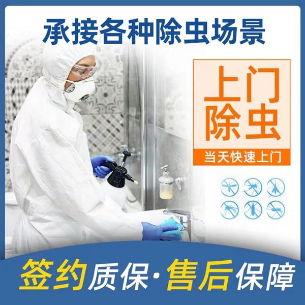 上海正规的上门除虫公司 专业上门除虫 灭老鼠上门服务