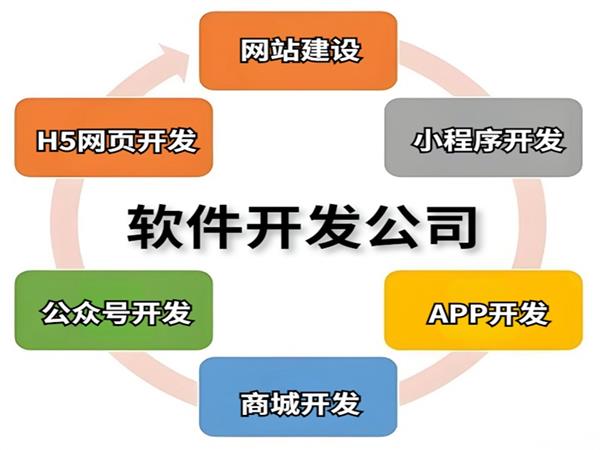 南昌强大的开发团队,做网站小程序APP软件