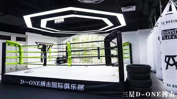 东城学武术D-one搏击可以学