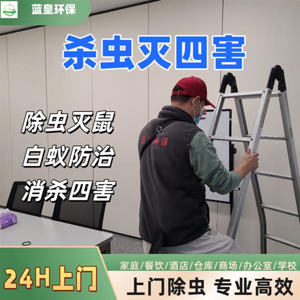 办公楼除老鼠 上海专业灭鼠公司吊顶除老鼠专业灭鼠除蟑螂