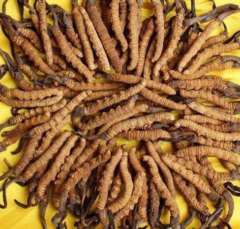 泰州市回收礼品有冬虫夏草燕窝东阿阿胶海参茅台酒等