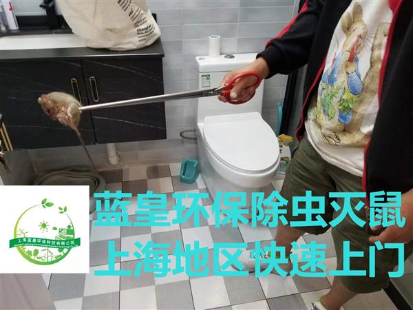 专业除虫杀虫户外消杀蚊虫 有害生物防治 上海各区24小时上门
