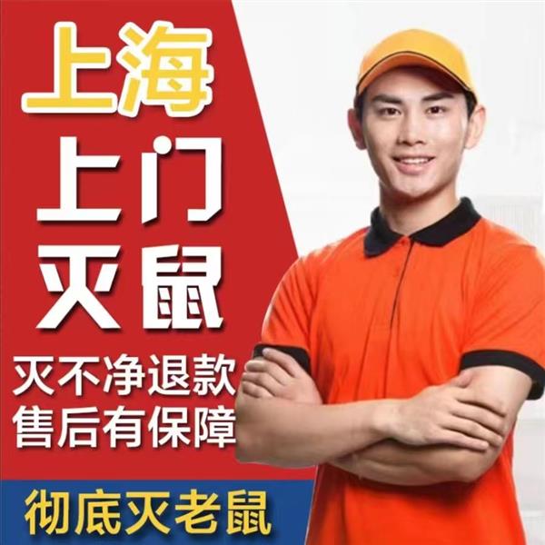 上海专业上门灭鼠收费低服务好上门灭鼠当天上门24小时在线