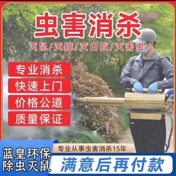 上海除虫灭鼠公司蓝皇环保24小时上门抓老鼠除蟑螂灭蜈蚣除臭虫