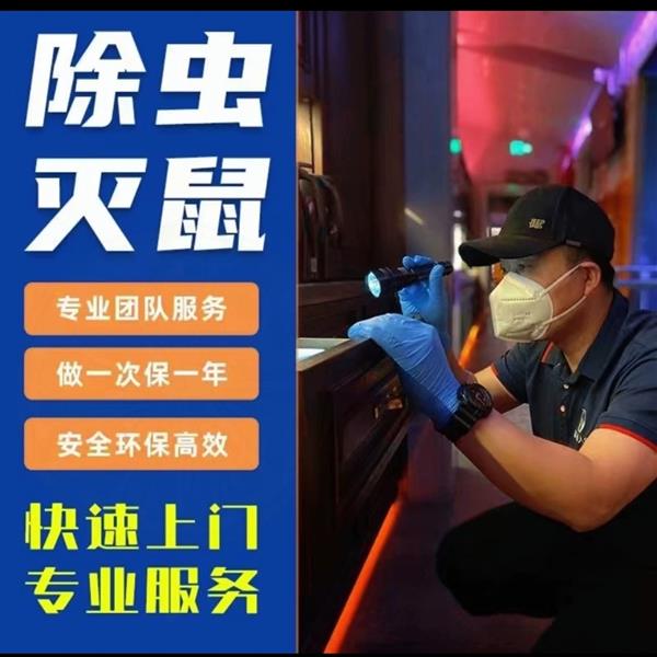 上海除老鼠服务专业上门灭鼠上海除四害公司蓝皇环保