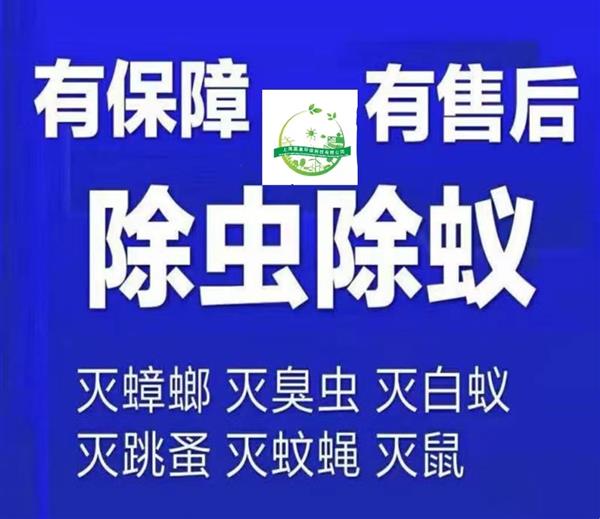 蓝皇环保 专业高效上门服务灭蟑螂 苍蝇白蚁跳蚤臭虫除四害