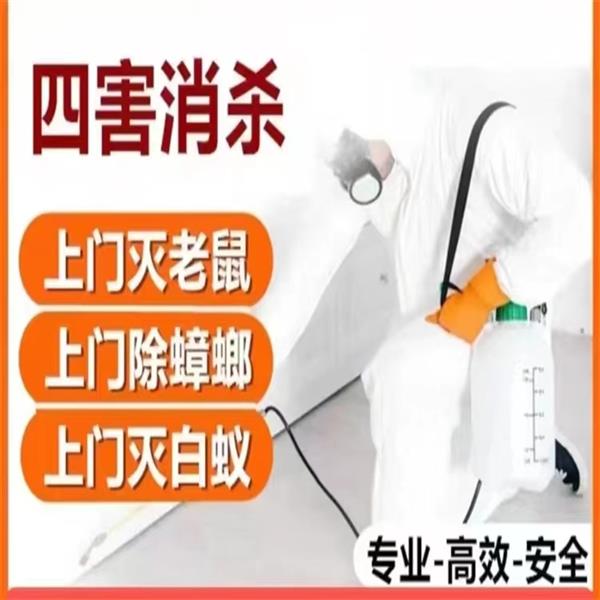 上海专业灭鼠防治公司除四害 工厂杀臭虫 本地机构 除马蜂窝