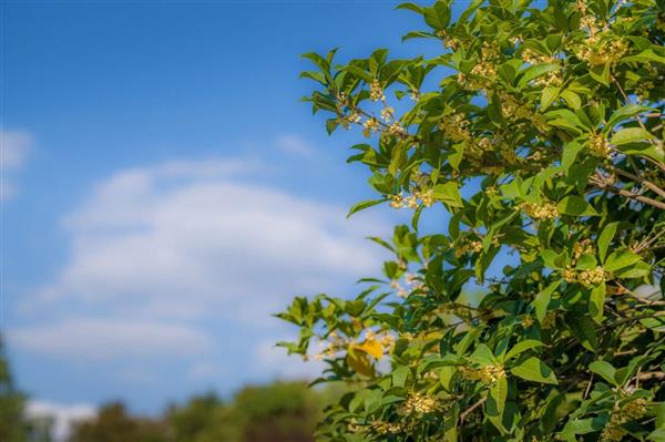英语不好一样读人大与加拿大女王大学金融硕士