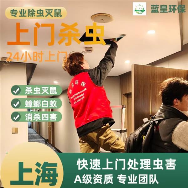 24小时上门 专业上海灭鼠公司灭蟑螂公司效果好见效快根源处理