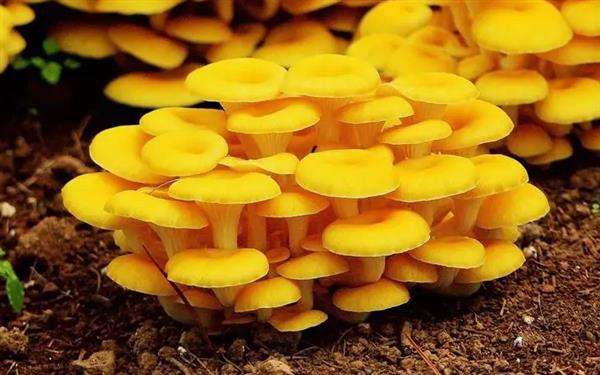 送给忙碌的自己,一份温柔的呵护