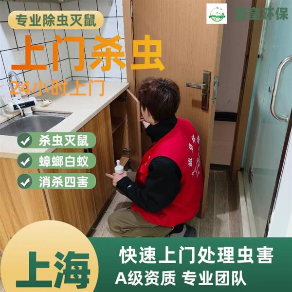 上海灭鼠公司哪家正规 上门虫害防治公司上门消杀除四害